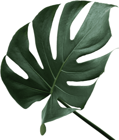 left-tree