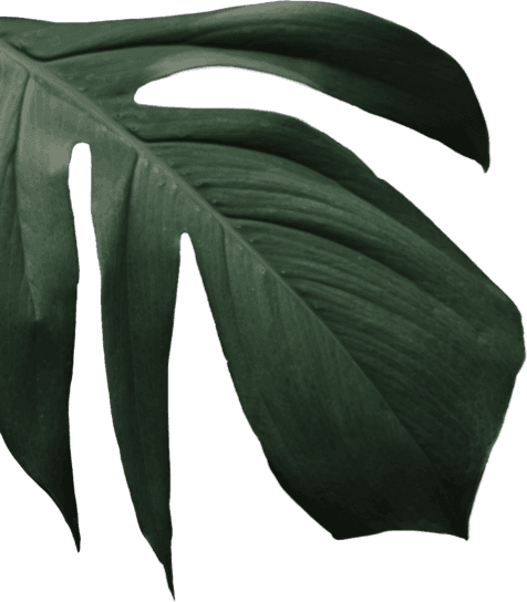 left-tree